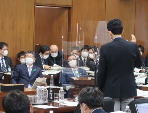 【国会質疑報告】 ２０２２年４月２０日（水） 法務委員会